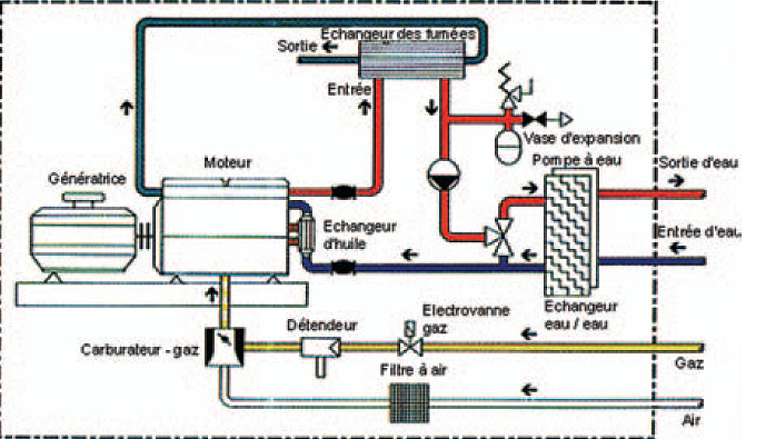 biogas - POWER FOR ALL
